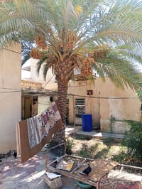 الدغاره حي الشرطه • ٤٥٠م • ٣ غرف