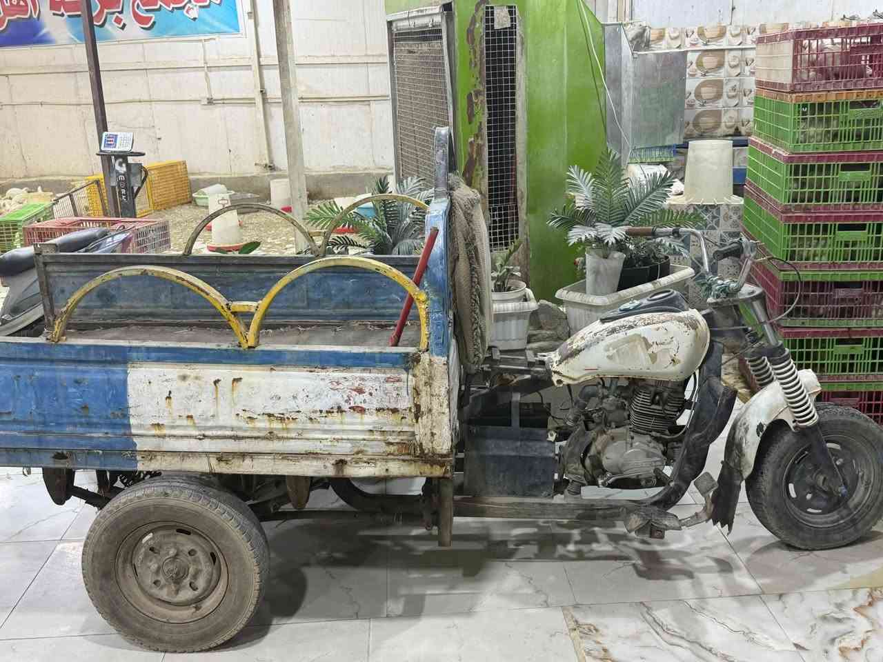 ستوته • مامفتوحه • كلك