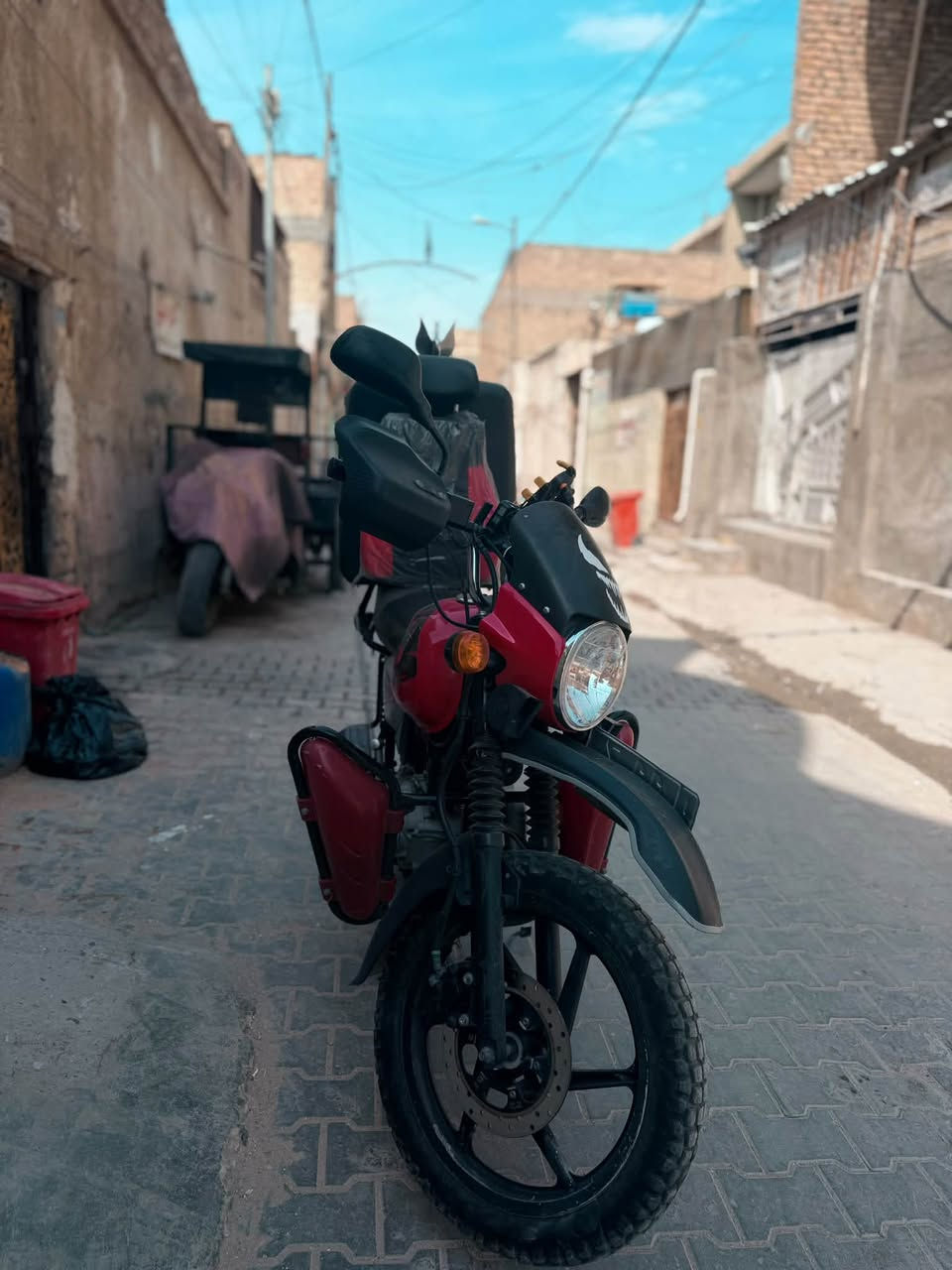 بوكسر • مكفوله • لوحة وسنوية