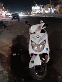 للبيع قيم واخذ سكنس فحل مكفوله بلاديه ما بيها نقص مكانها بغداد البياع ...