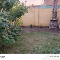 طابو صرف • ٢٥٠م • حي النصرالاول