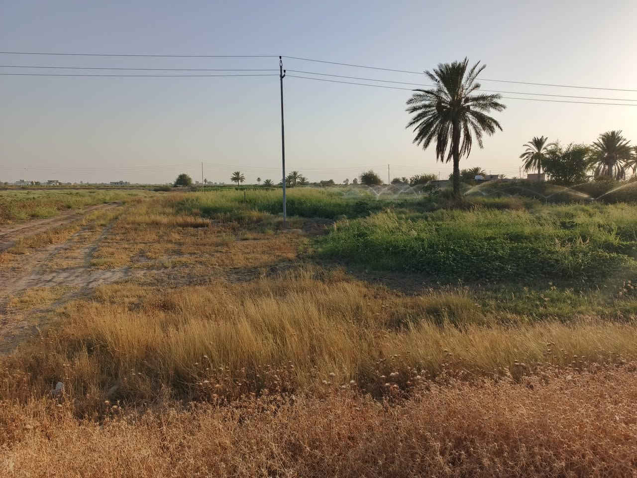 الموئدي طريق سامراء • تجاري • نص دونم