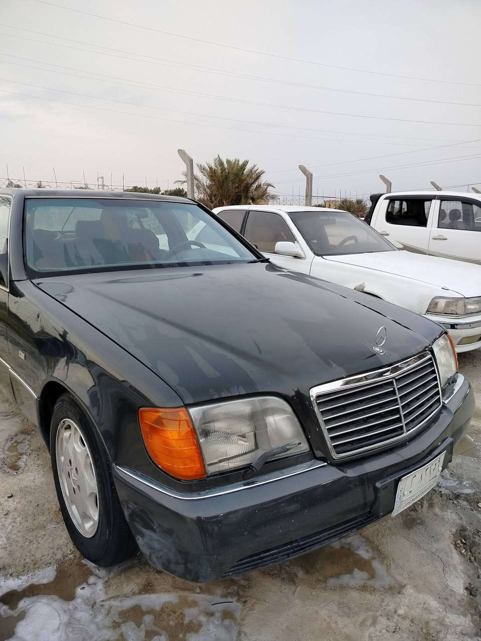 السلام عليكم مارسدس شبح 320 موديل 1991 رقم بغداد تحويل مباشر مكفوله من العيب الشرعي سنويه لغايه 2027 كير ومحرك بلاد مكفولات كشنات جلد كهرباء ستيرن كهرباء فتحه سقف مصبوقه فرن جماليه سياره جاهزه علئ اخر حبايه السعر  50 ورقه وبيها مجال للستفسار *********** مكاني ذي قار قضاء الرفاعي
