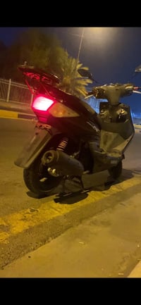 سكنس فحل • نوزل • اواراق كاملة