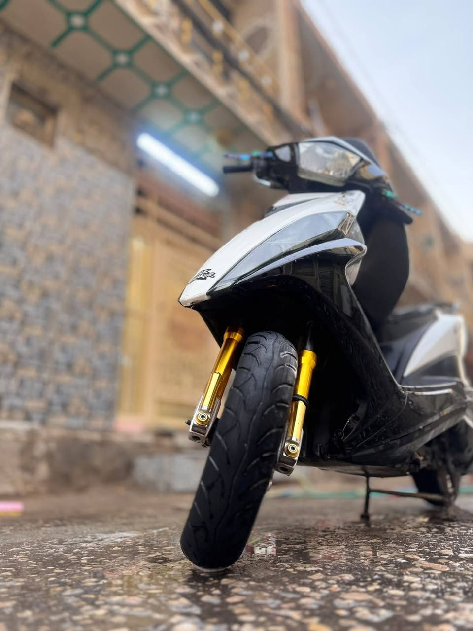 ماكس مضلع • مكفوله • ٢٠١٣