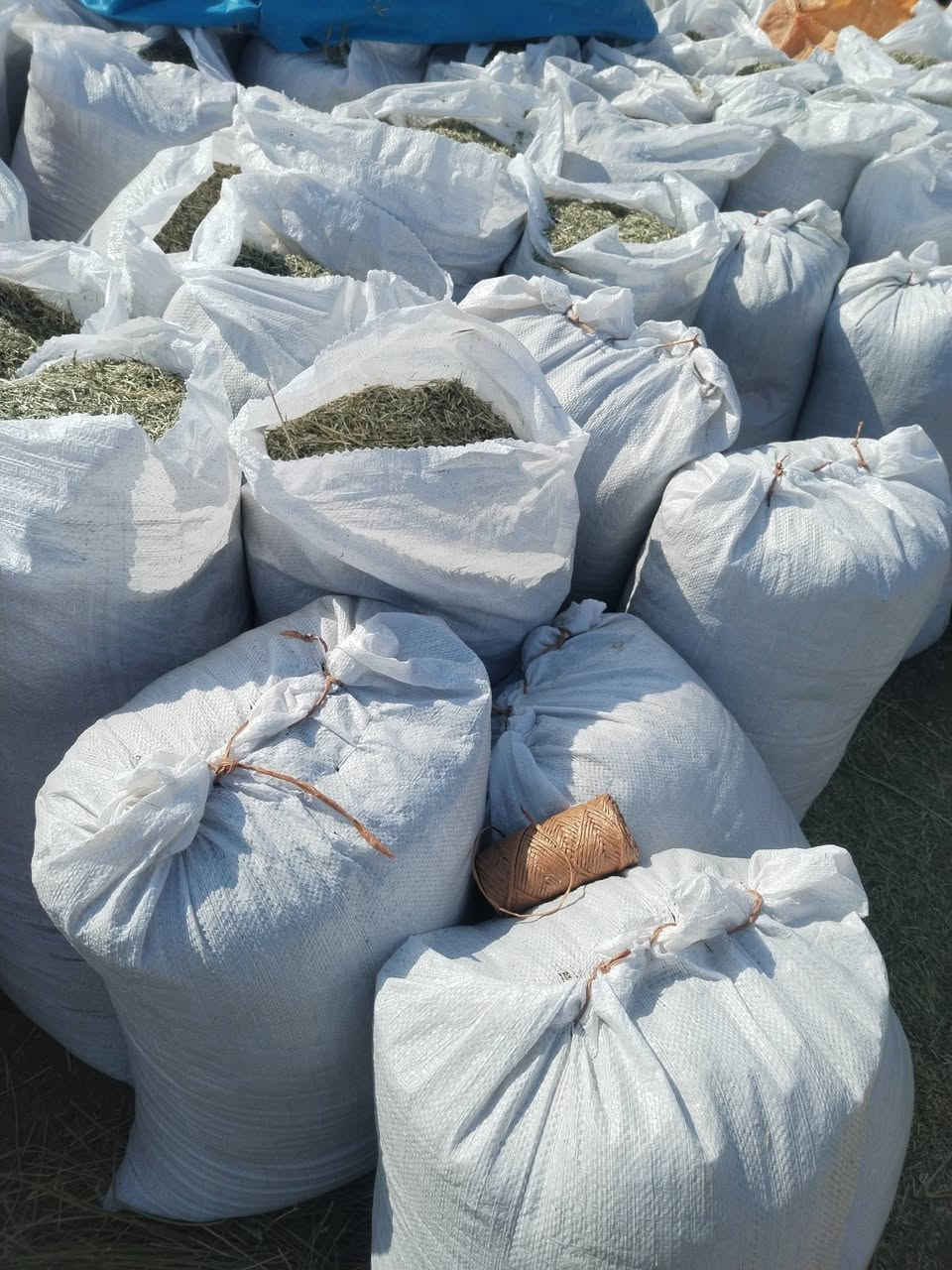 متاح 50 كونيه تبن جت نضيف
زوج ب12 
مكاني الصقلاويه
***********
