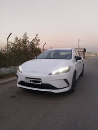 بيوايدي سيل فايف • ٢٠٢٥ • ٦٠٠٠ كم
