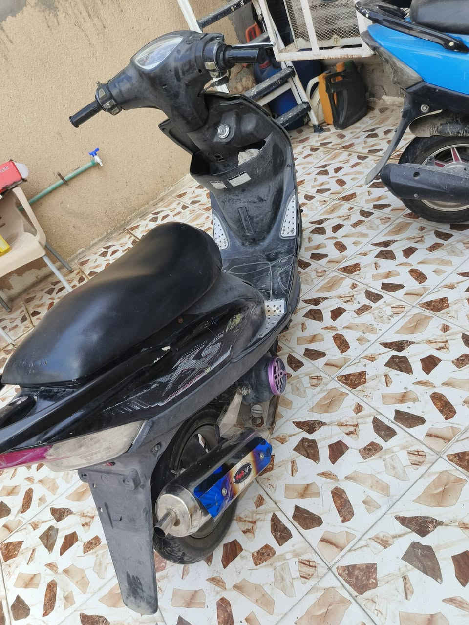 ماكس • سوده • ناعمه