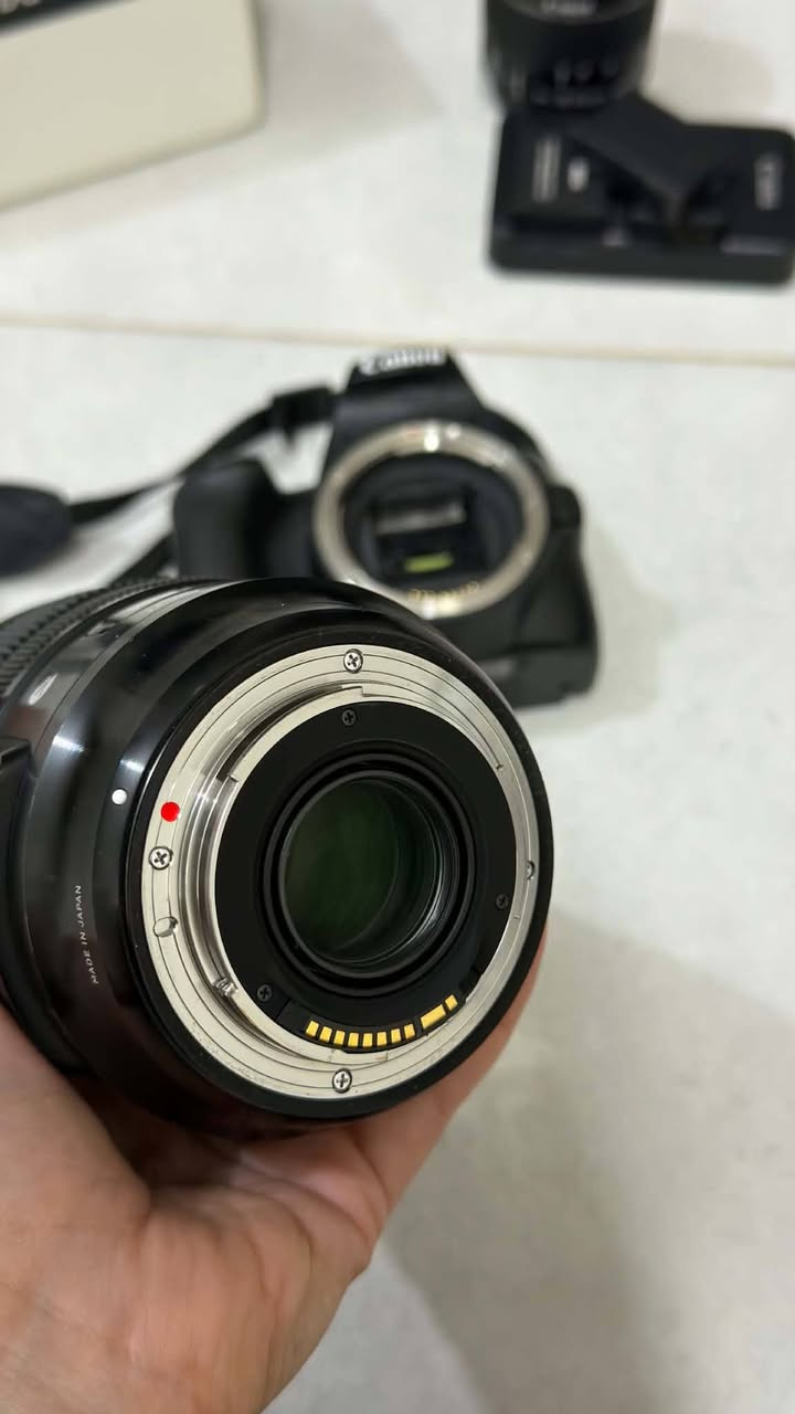 كانون 250D • عدسة Sigma 24-70 • فلاش Godox V1