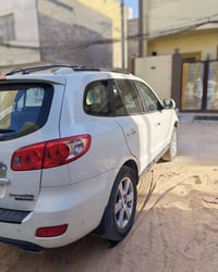 سنتافيا • ٢٠٠٨ • ٧ راكب