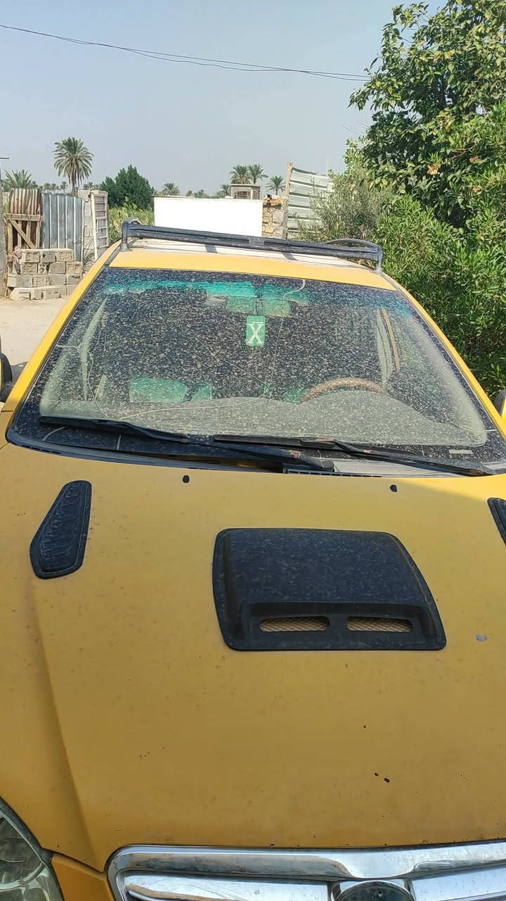 بي واي دي F3 • ٢٠١١ • ابو غريب