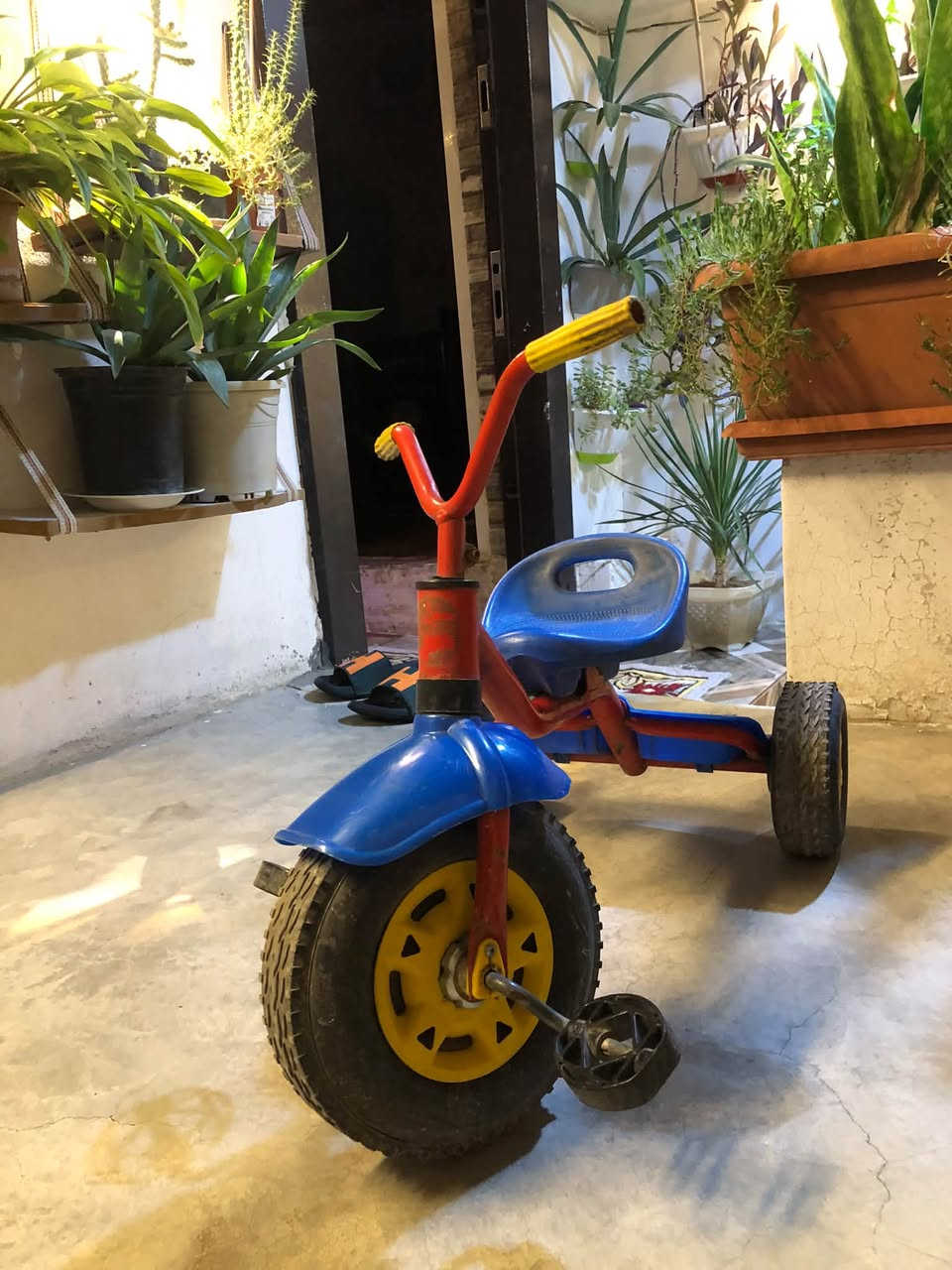 دراجه اطفال للبيع السعر 15ثنينهم مجال قليل

الهاتف *********** 🚴
