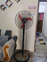 بنكه • اصليه • دولعي