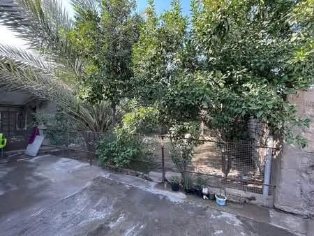 البصيره • ٣٠٠م • شاط مباشر