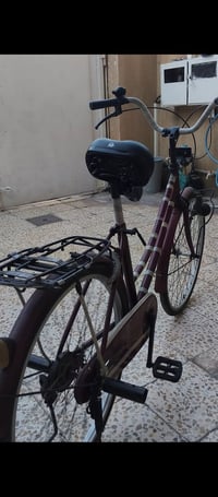 باسكل صيني • حجم ٢٠ • بلا عيوب