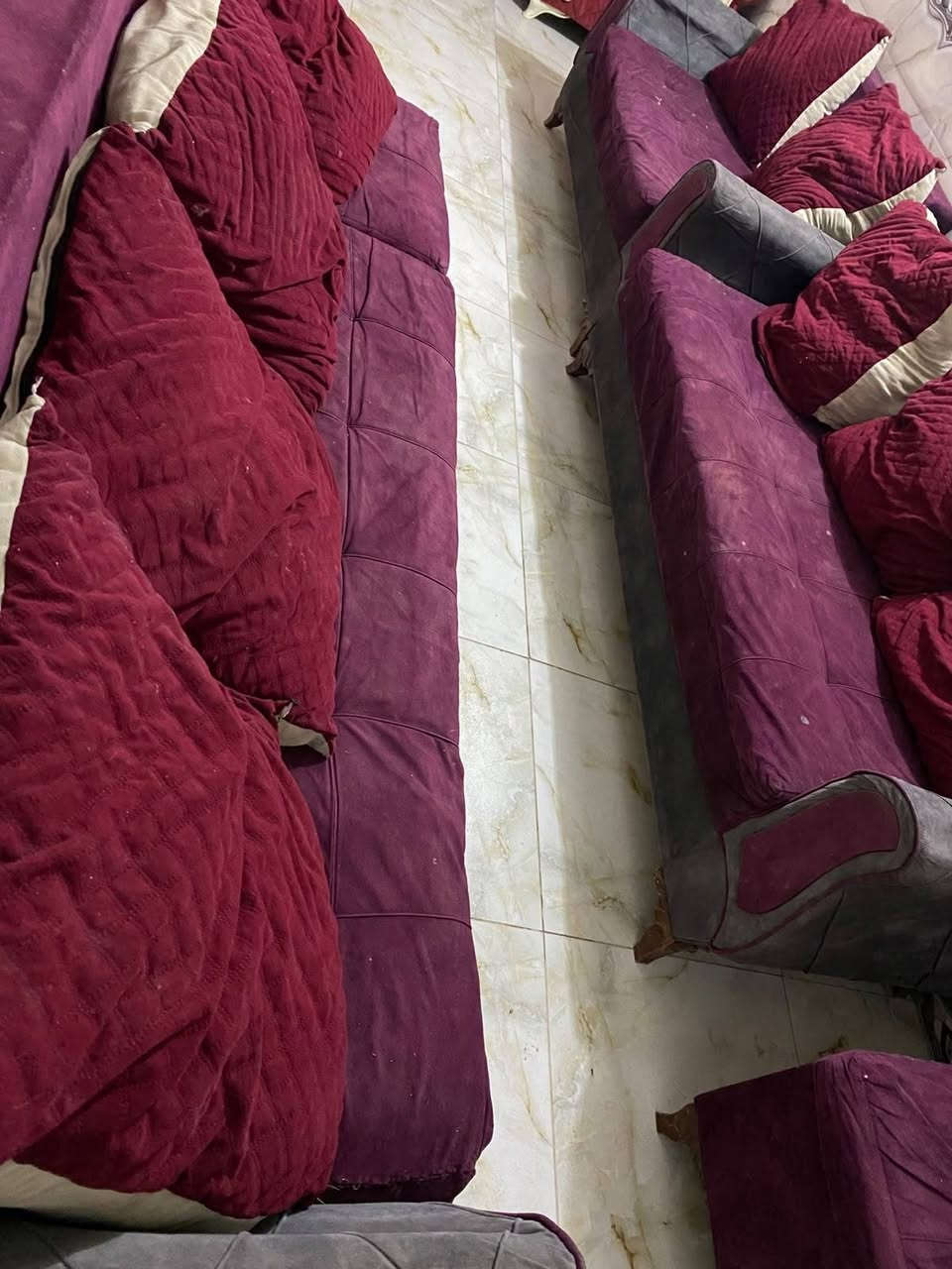 تخم ديوان للبيع 5 قطع 10 نفرات سعره 140 مكانه نجف حي ميسان مقابيل العسكري *********** بيه وتساب النجف, العراق
