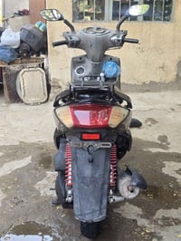 سكنس فحل • كابريتر • سنه وشهرين