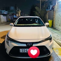 كورلا ليفين • ٢٠٢٤ • ٤٩٠٠٠