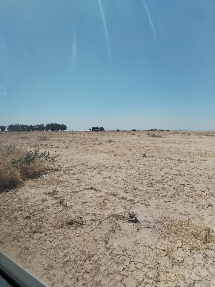 حليحل • ١٨ دونم • خدمات كاملة