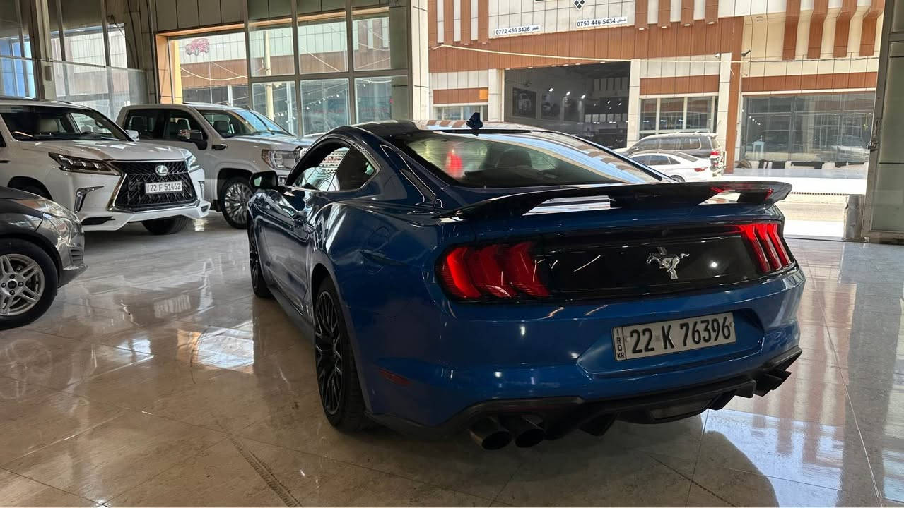 فؤرت مؤستانك ECOBoost premiumمؤديل2021ره نگى شين5پارچه به خ 4پستن فول مواسفات شوين هه ولير ره قه م مؤبايل *********** أربيل, العراق

