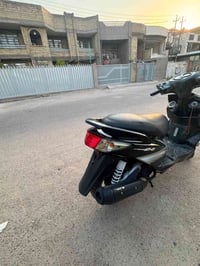 سكنس فحل • بلادية • لايت زنون