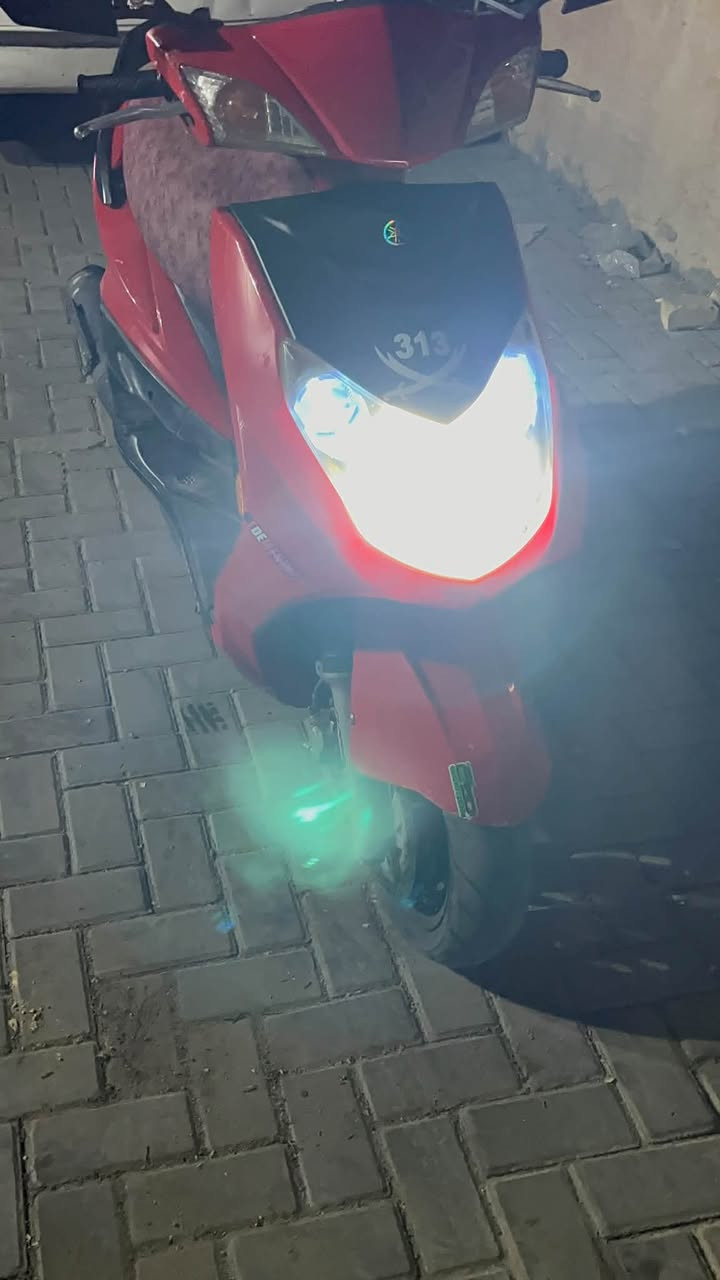 سكنس فحل • نضيفه • زينون اصلي