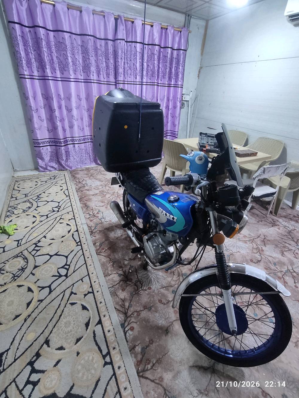 ايراني • شلامجه • ٢٠١١