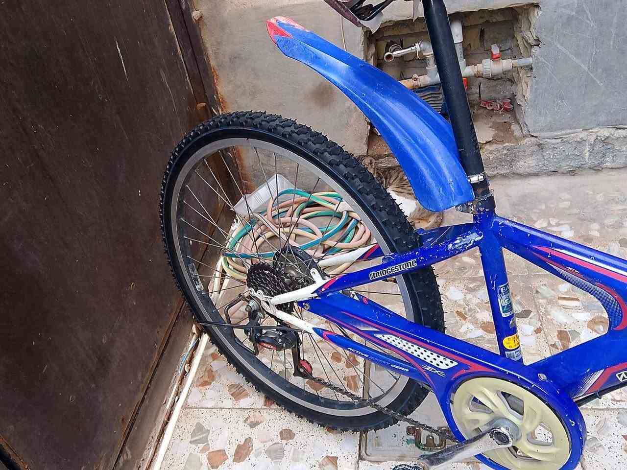 بايسكل جبلي • حجم 24