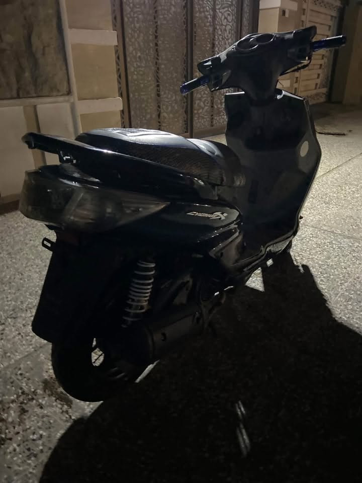 سكنس فحل • كفاله عامه • سلف