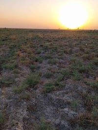 نصف دونم • عقد زراعي • ناحية كنعان