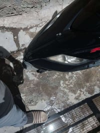 ثعلب • الحرية • قابل للتفاوض
