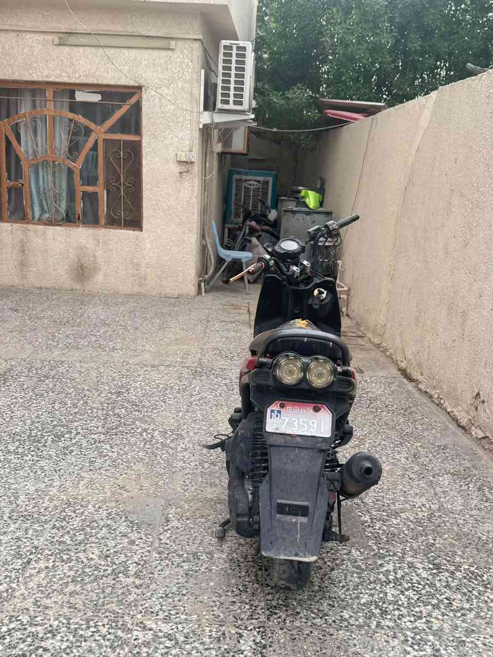 سكنس جبلي • ما بيه • شغاله
