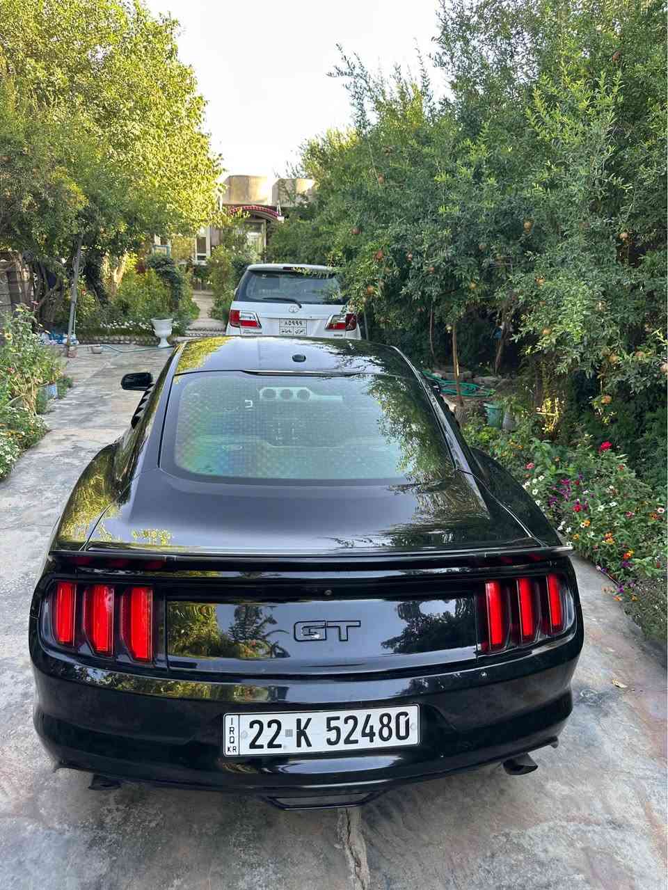 سلام علیکم 
موستانگ موسفات فول فول
مودیل٢٠١٧ 
ئیکوبوست
سنەوی بسمک 
تحویل غرام كل بشرط
جملغ بونيد صبغ
٨٥٠ الف غرم 
سعری١٠٣
واتساپ***********

***********

سلاو خواتان لبیت موستانگ ٢٠١٧ 
فول فول
موسفات
دووپارجە بویاخە 
٨٥٠ هەزار خرامە تیدایە دوای فرۆشتن بۆت دەگیرمەوە
گیرو مەکینە بە شەرت بەناوی خۆمەویە السليمانية, العراق
