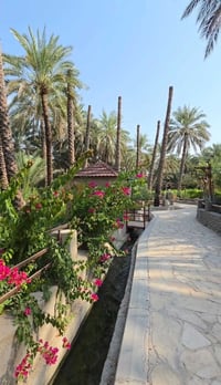 اليوسفية بغداد • دونم • سند ٢٥