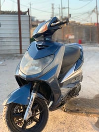 سكنس فحل • ياباني • كولد