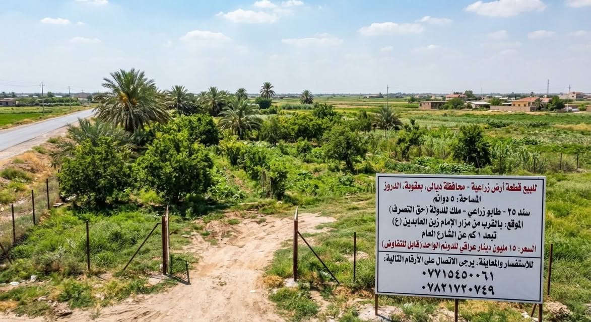 بعقوبة الدروز • ٥ دونم • طابو زراعي