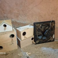 رخصة مدير • بيوت غندورة • مفرغة