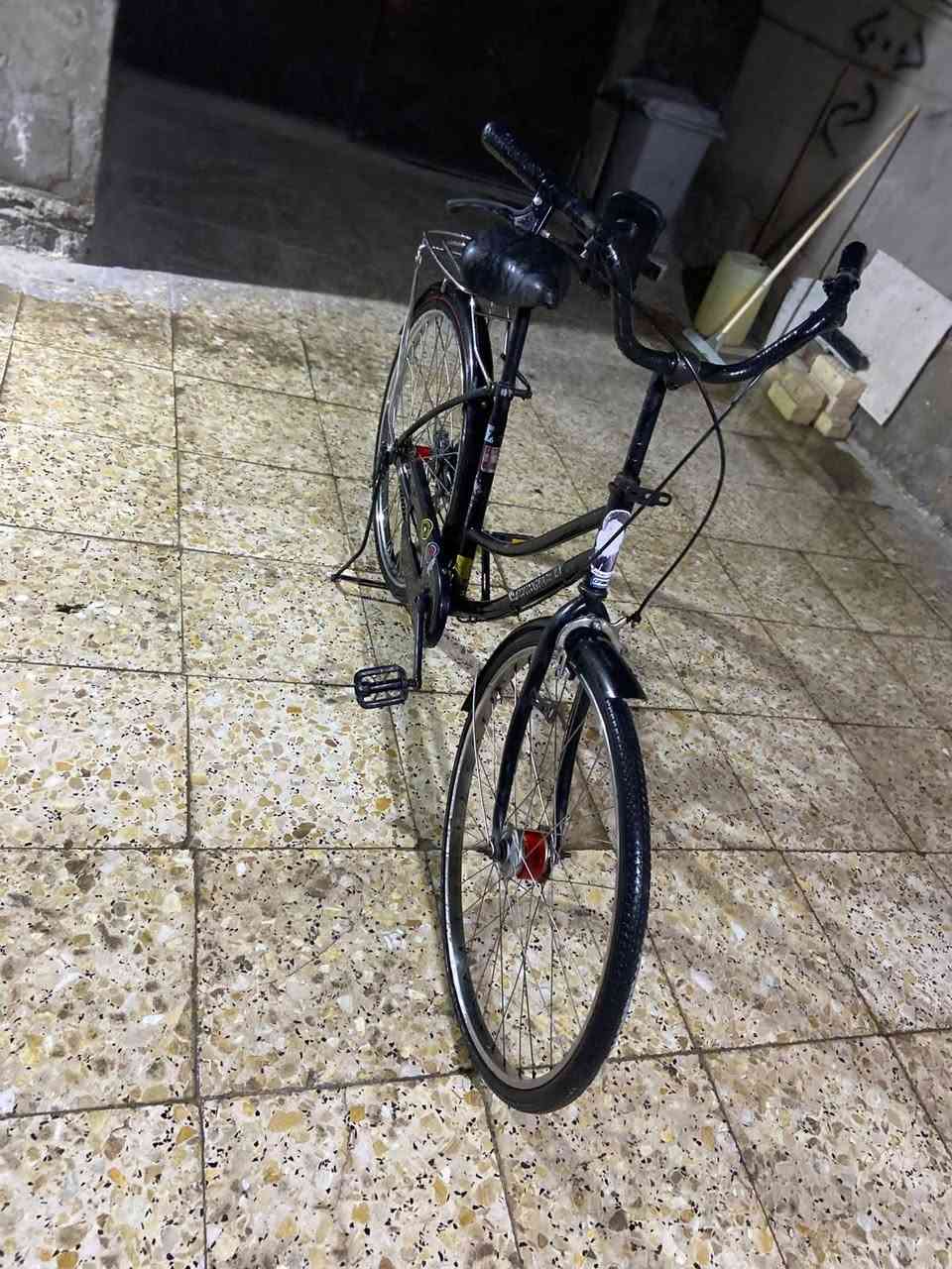 جديد • حجم ٢٦ • بغداد العبيدي