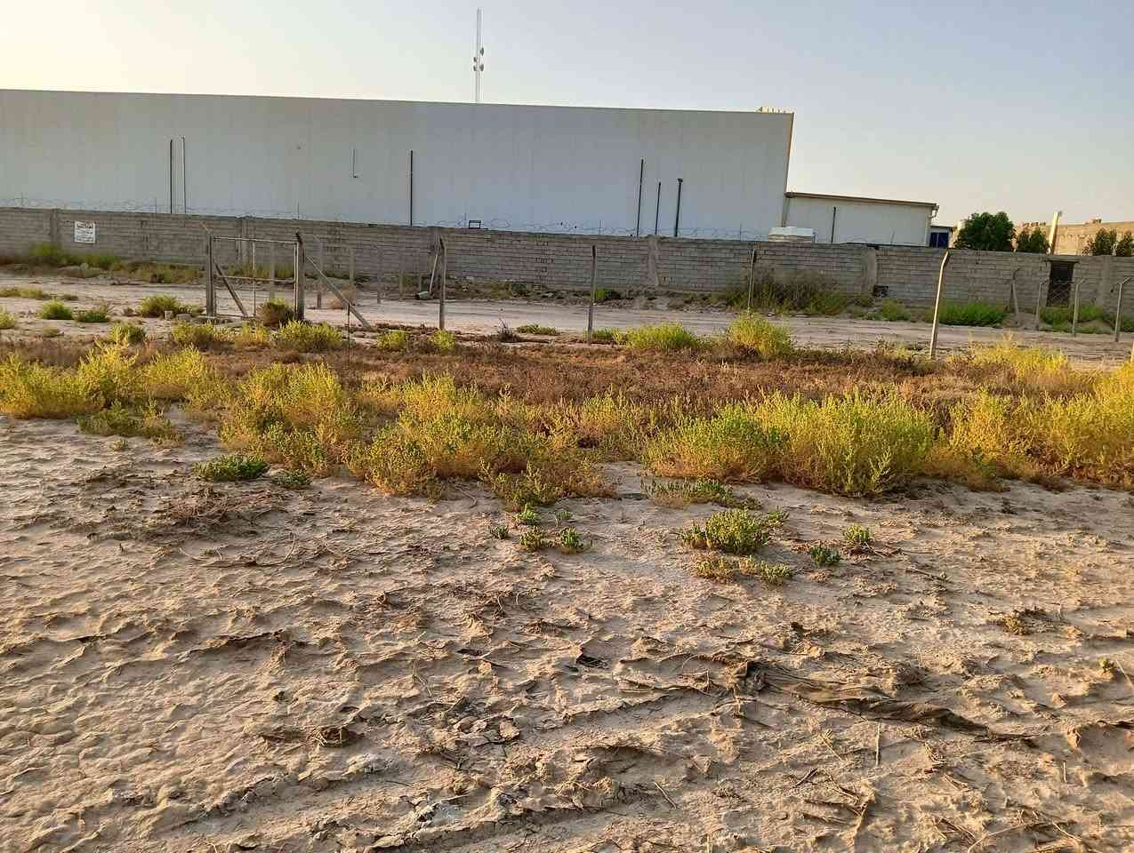 قطعة أرض طابو زراعي سند 25 اقرار محكمة مساحتهة 600 متر مربعة كربلاء طريق الرابط (العلوة) قرب مجمع محمد حلوة السكني..تنزل عن الشارع الرئيسي تقريبا 300 متر،،،
السعر(65) وبي مجال
***********
***********
