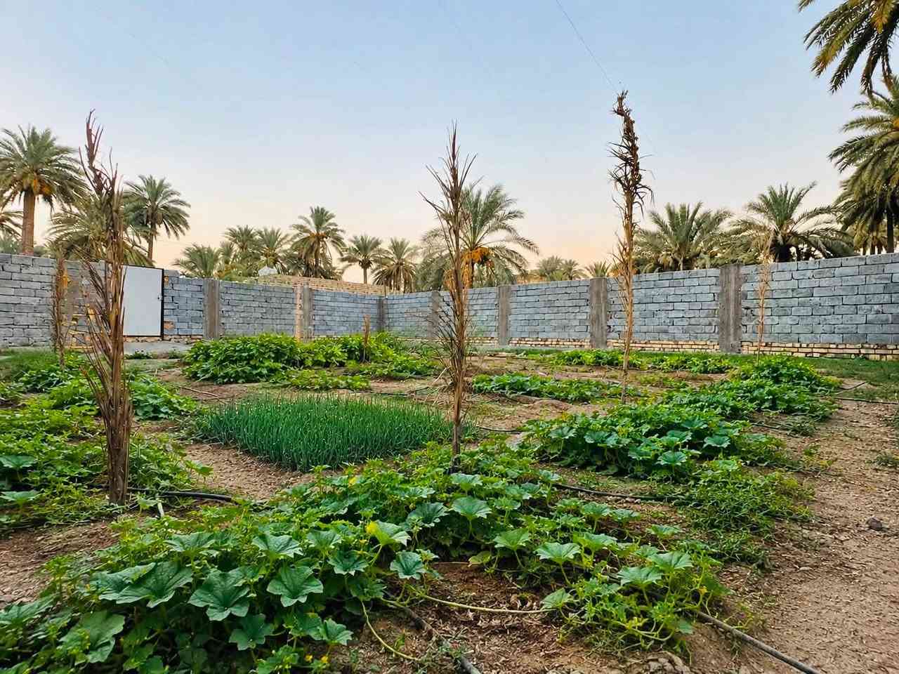 تنزيل السعر لغرض البيع السريع 

السلام عليكم 
بيت للبيع مساحة 208 متر
مكون من طابقين
الطابق الاول ( غرفة +صالة+ استقبال + مطبخ + صحيات داخليه وخارجية) 
الطابق الثاني (غرفة 4*6ونص كبيرة) + صالة كبيرة جدا
يحتوي على سطحين
السعر 110 وبي مجال بناء حديث 2023 
الوان البيت الداخل مرتبة 

مع وجود قطعه جانبية مساحتها 200 متر
مفتوحة على البيت
مسيجة كونكريت بالكامل
السعر 32 وبيها مجال 

الموقع قريبة على جسر الابراهيمية
للاستفسار ***********
