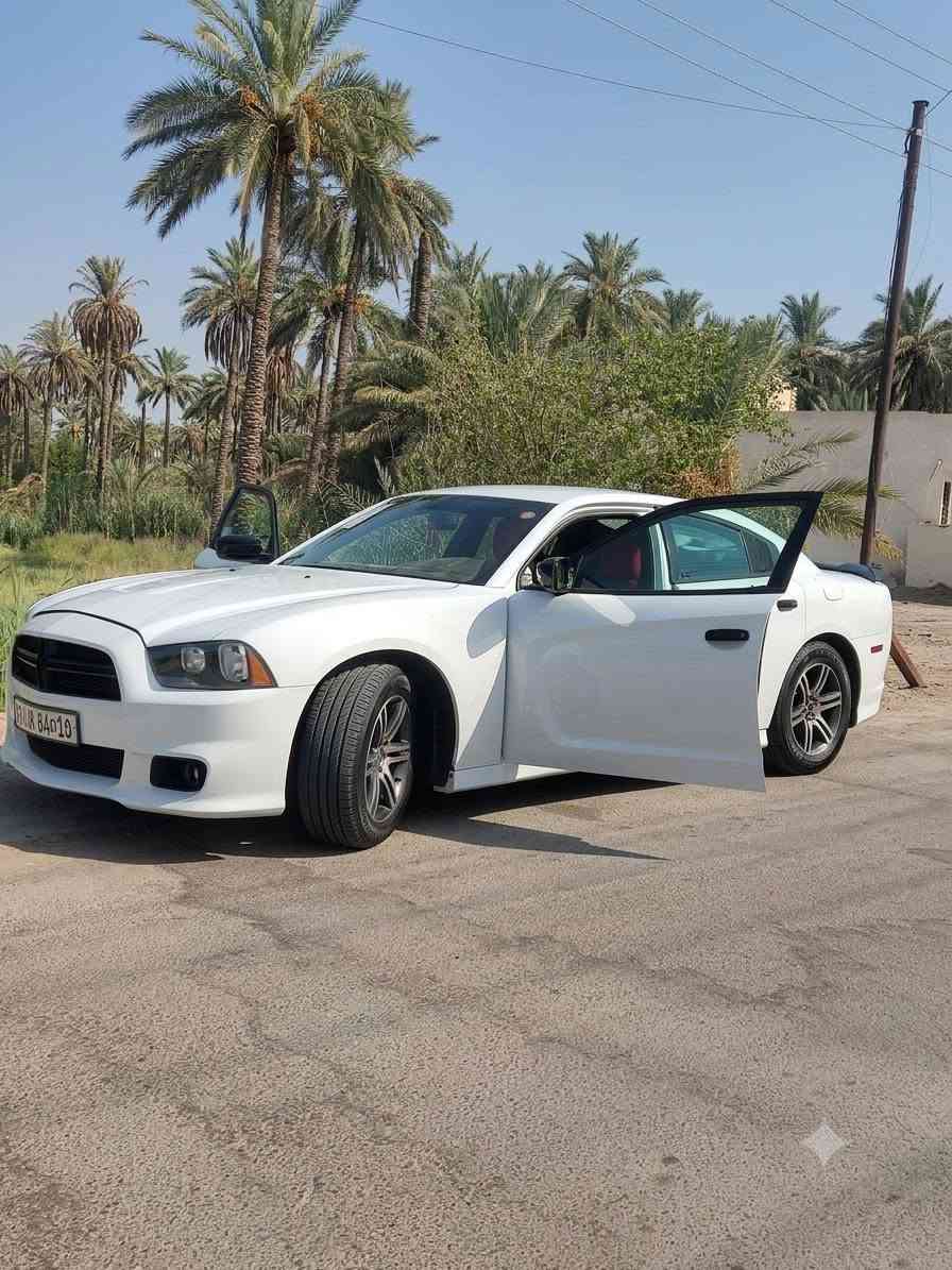 للبيع دوج جارجر 2013 امريكي V6* 🔥
*تفاصيل السيارة:*
- *الموديل*:2013
- *المحرك*: 6 سلندر 3.6L 
- *الكير*: اوتوماتيك عصا
- *الدفع*: خلفي
- *اللون*: ابيض
- *الضرر*: بجم 
- *التخم*: 4 تواير جديدة
- *التبريد*: ثلج ❄️ 
- *التدفئة*: شغالة
- *الكهربائيات*: فول اوبشن وكلها شغالة
- *المواصفات*:كشنات كهربائي
- *الاستخدام*: سيارة نظيفة مال جناي وبيد وحدة
- *السعر*:135 وبيها مجال
*المكان*: بابل - الاسكندريه
*للاستفسار والصور الاضافية اتصال واتساب*: ***********
