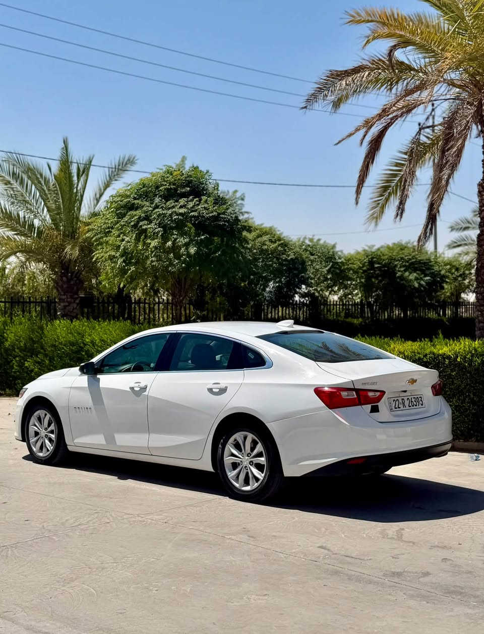 شفروليه ماليبو  LT موديل 2023 بدون صبغ كفاله عامة ايرباك سليم ✅
موصفات:

بصمة  تشغيل عن بعد

ابواب بصمه

شاشة  كاميرا

ردار

نقطة العمياء

تحديد المسار

تحديد السرعة 

كشن كهربائي

تبريد امامي وخلفي

مراوس إذا كان سعر السيارة المقابلة معقول وتكون رقم شمالي فقط      

السعر 133 

واتساب ***********   واتساب ***********

