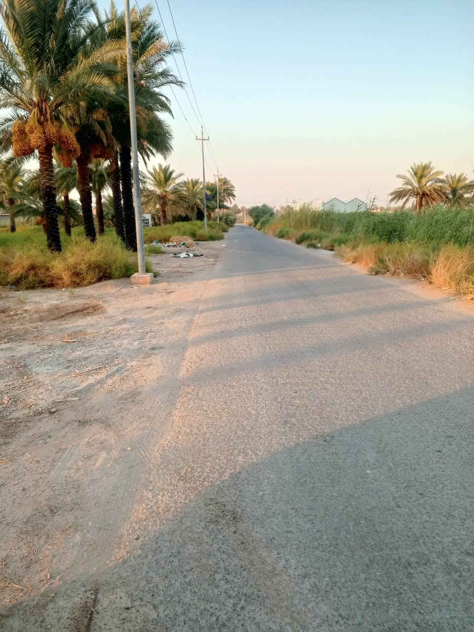 العلاك • ١٠٠٠م • طابو زراعي