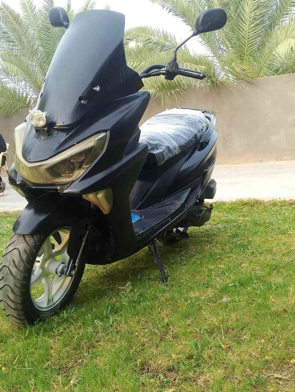 سترونك • ٢٠٢٣ • شغاله