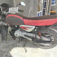 بوكسر • فحل • ٢٠٢٣