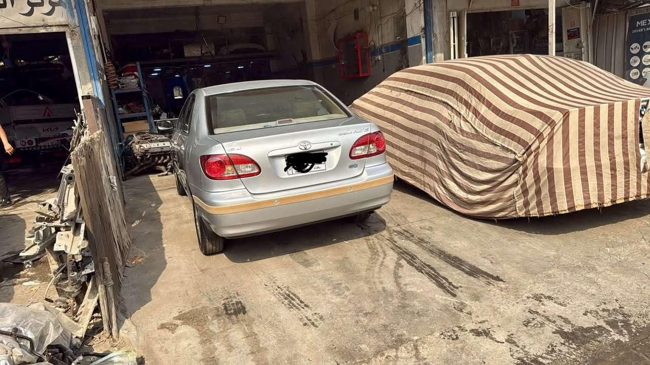 كورلا نحلة • ٢٠٠٤