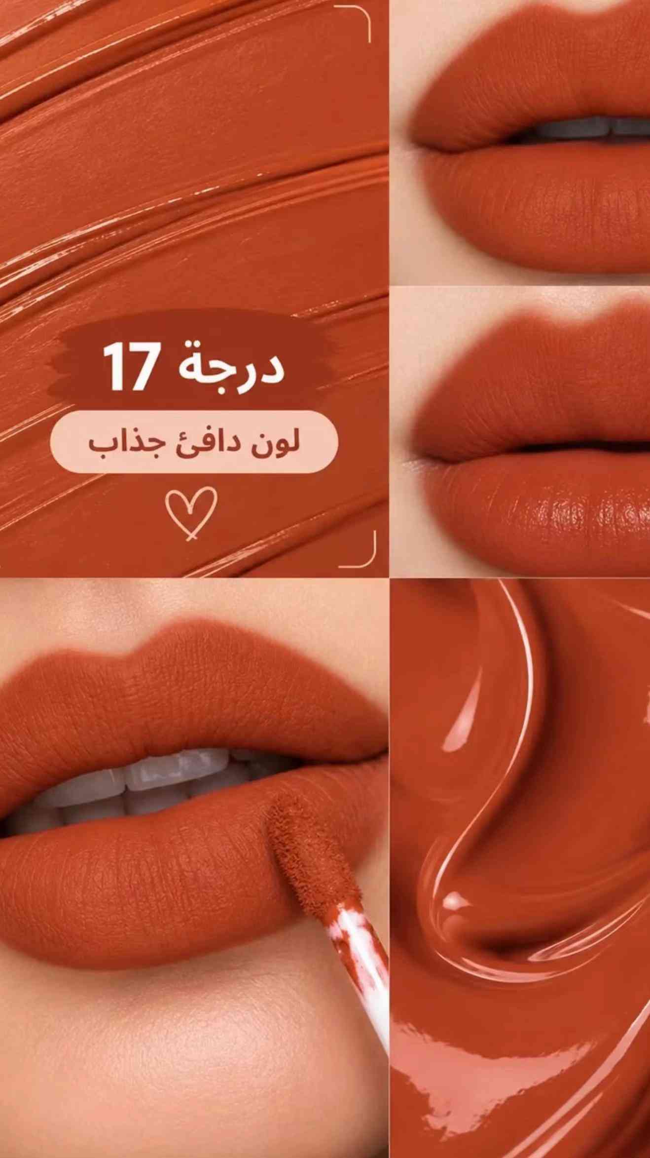 حمرة • Biie أمريكي • درجات متعددة