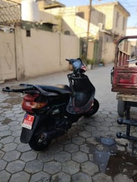 فراشة • شرط وكاله • كله شغاله