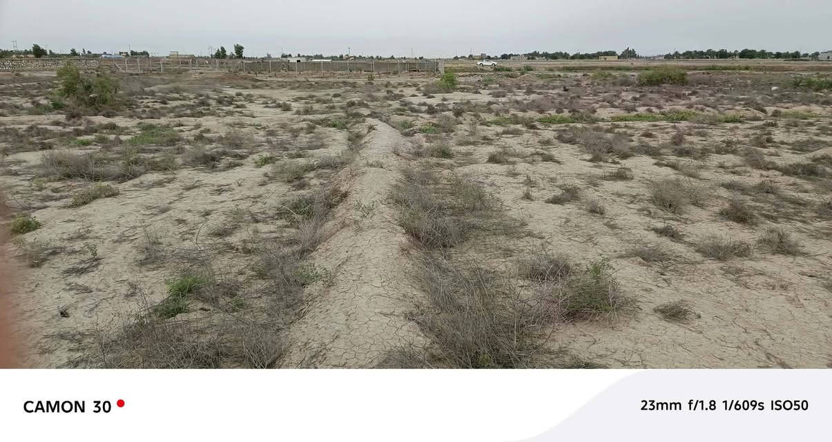 سند 25 • ٢ ونص دونم • ديوانية دغارة