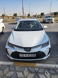 كورلا • ٢٠٢٣ • رقم اربيل